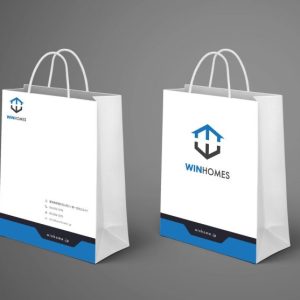 Túi giấy in logo theo yêu cầu