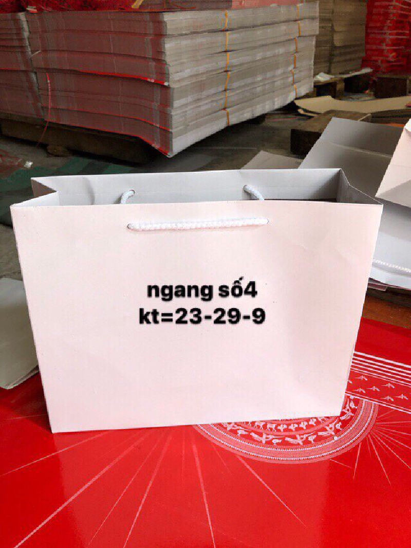 Túi giấy in logo là một trong những sản phẩm quan trọng trong việc tiếp cận khách hàng của mỗi doanh nghiệp.