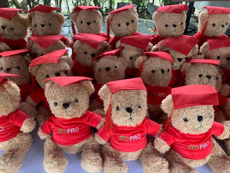 gấu bông tốt nghiệp