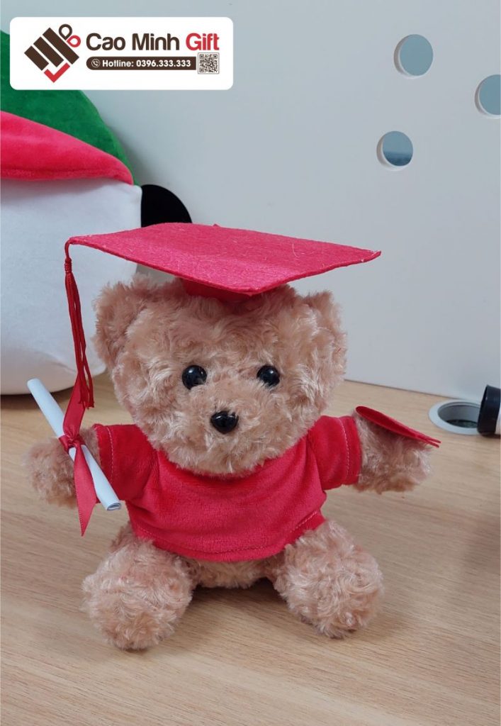 gấu bông tốt nghiệp