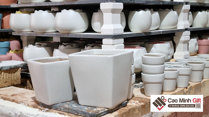 chậu sứ trồng cây