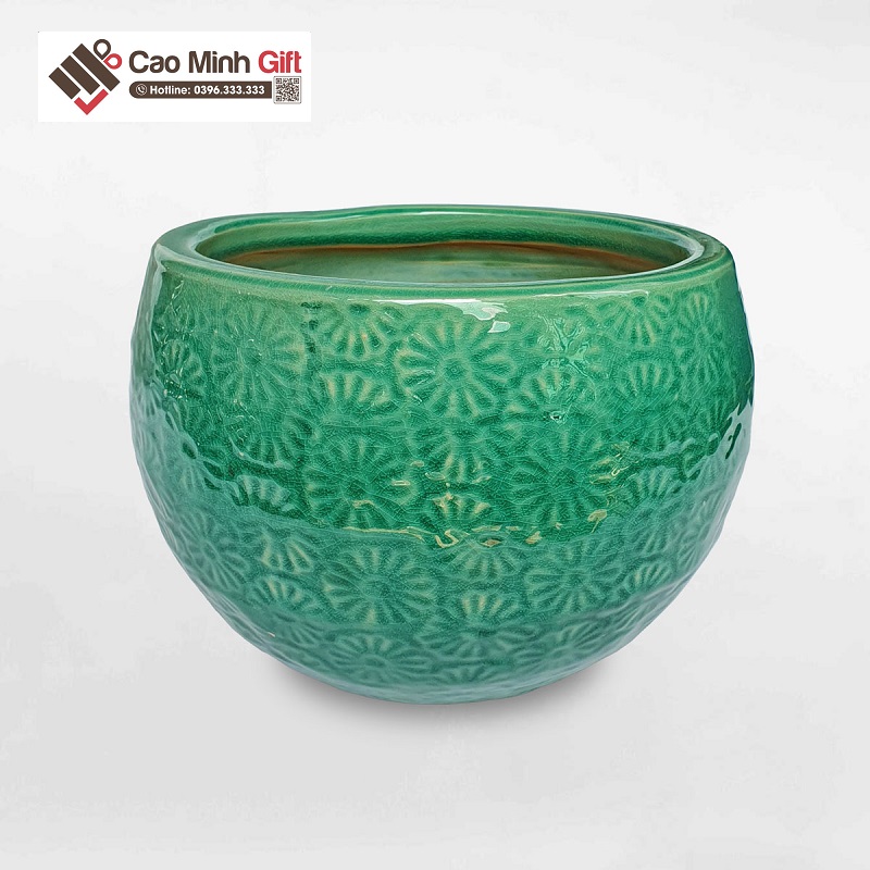 chậu sứ trồng cây