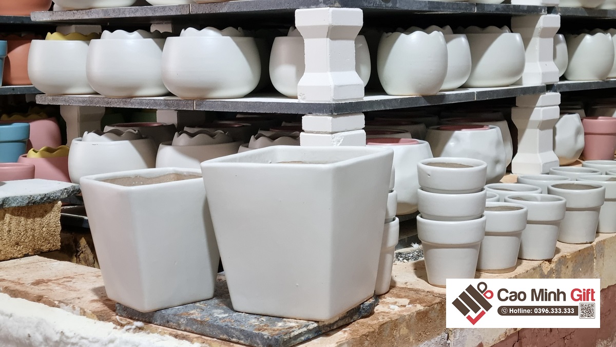chậu sứ trồng cây