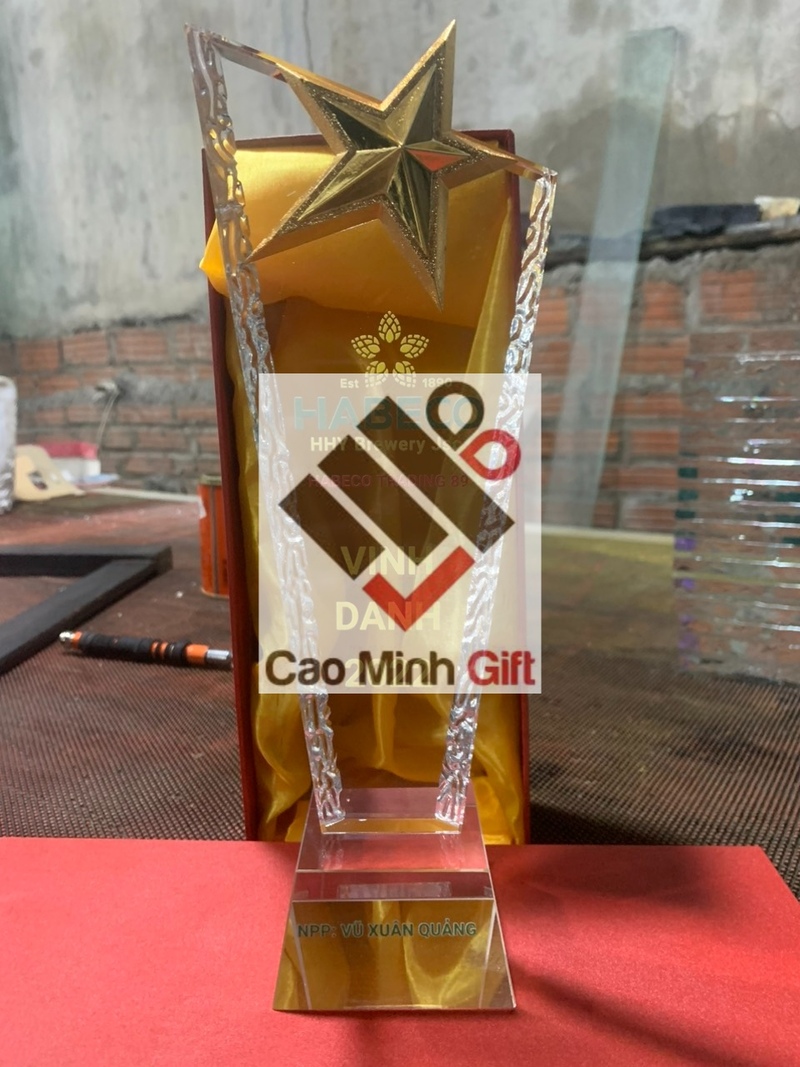 Cúp vinh danh