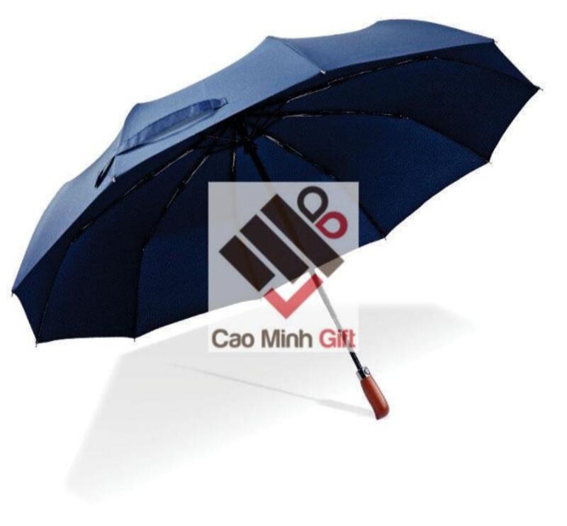 Dù che mưa cầm tay
