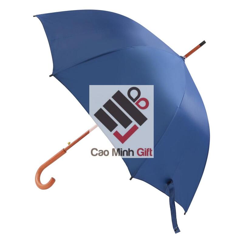 Dù che mưa cầm tay