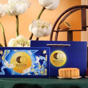 Vỏ hộp bánh trung thu 2 cái dây du đẹp, ép kim đẹp mắt