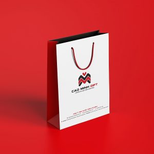 TÚI GIẤY IN LOGO THEO YÊU CẦU
