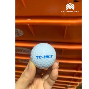 BÓNG GOLF IN LOGO