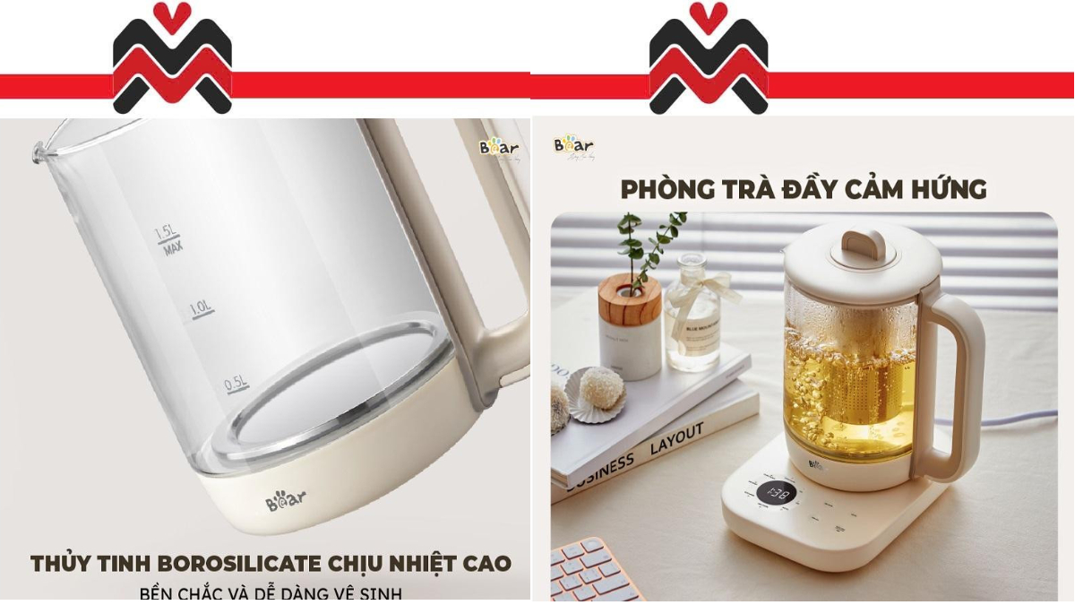 Bình pha trà Bear cao cấp