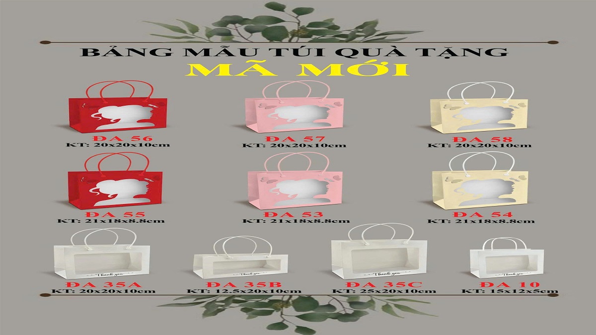 Bộ sưu tập mẫu túi đựng quà 8/3 mới