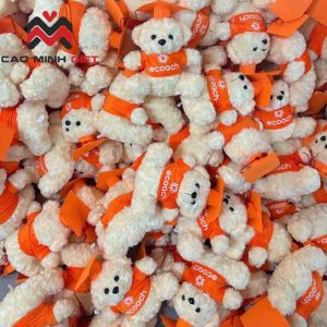 Gấu bông cử nhân in logo ECoach