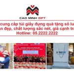 Mua túi giấy đựng quà ở đâu Hà Nội in ấn theo yêu cầu, giá tốt?