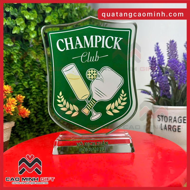 Vật phẩm vinh danh - Cúp pha lê in logo