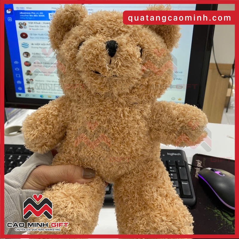 Làm gấu bông theo yêu cầu số lượng ít sẵn size 30 từ 50-100c