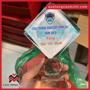 Đặt hàng số lượng lớn Kỷ niệm chương bằng mica in hình theo yêu cầu làm quà tặng khách hàng, đội vô địch các giải đấu trường cho học sinh, sinh viên?