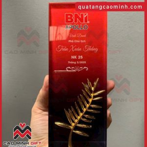 Đặt số lượng lớn Kỷ niệm chương bằng pha lê nguyên khối theo yêu cầu làm quà tặng khách hàng, quà tặng đối tác, quà tặng nhân viên, sếp như mẫu?