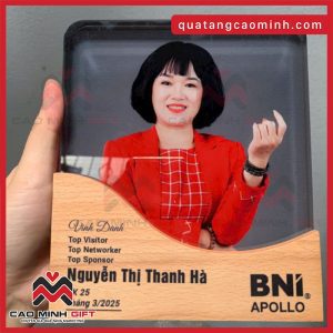 Đặt làm số lượng lớn kỷ niệm chương đế gỗ theo yêu cầu như BNI APOLLO?