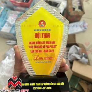 Nhận làm kỷ niệm chương ngành Kiểm sát nhân dân theo yêu cầu số lượng lớn, giá tốt!