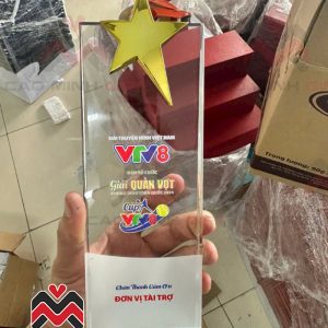 Đặt hàng làm kỷ niệm chương theo yêu cầu số lượng lớn như Đài Truyền Hình Việt Nam VTV8 tri ân nhà tài trợ?