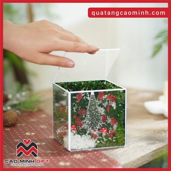 Quà tặng giáng sinh bể rêu bảo tồn size 10x10x10 cm - Đặt sll có giá tốt tại Cao Minh gift