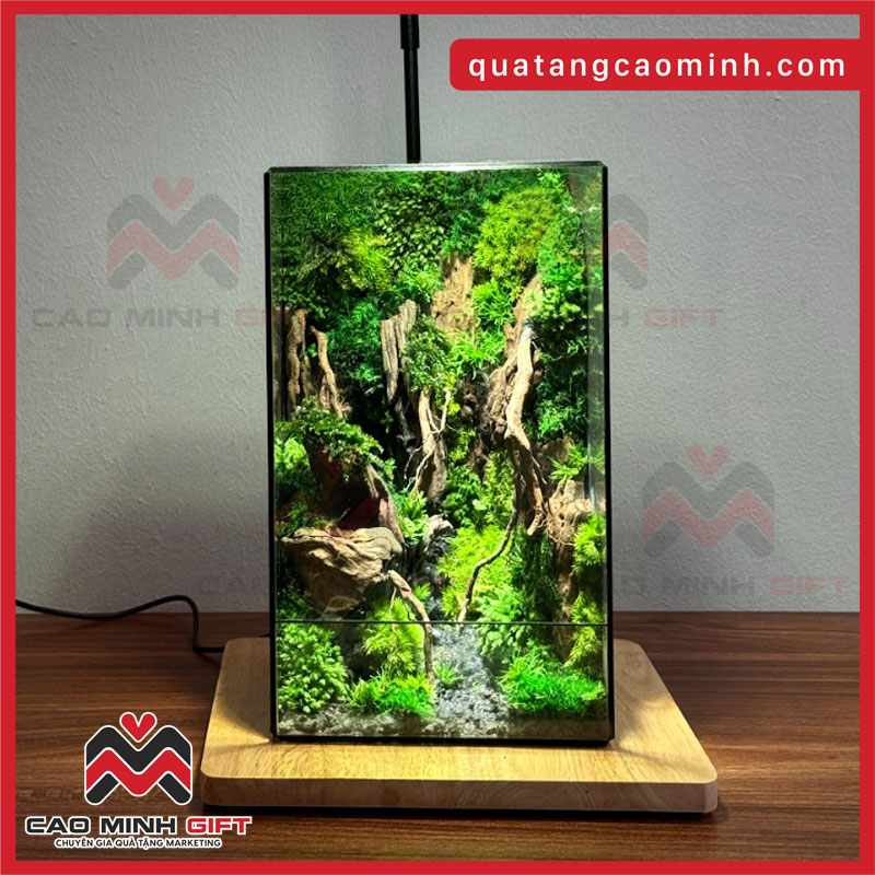 Phiên bản Tháp rêu - Quà tặng từ người khuyết tật